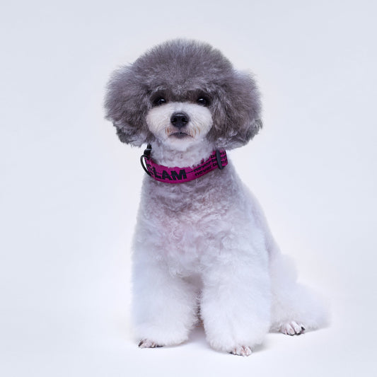 Overglam Ribbon Collar with Leather