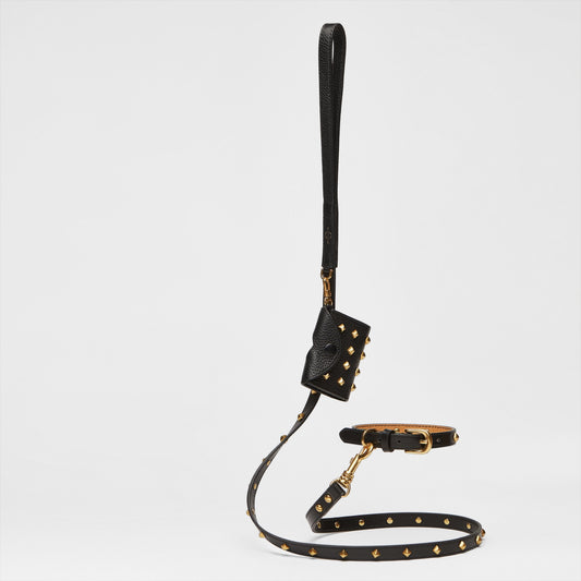 Golden Rivet Leather Lead (Black)
