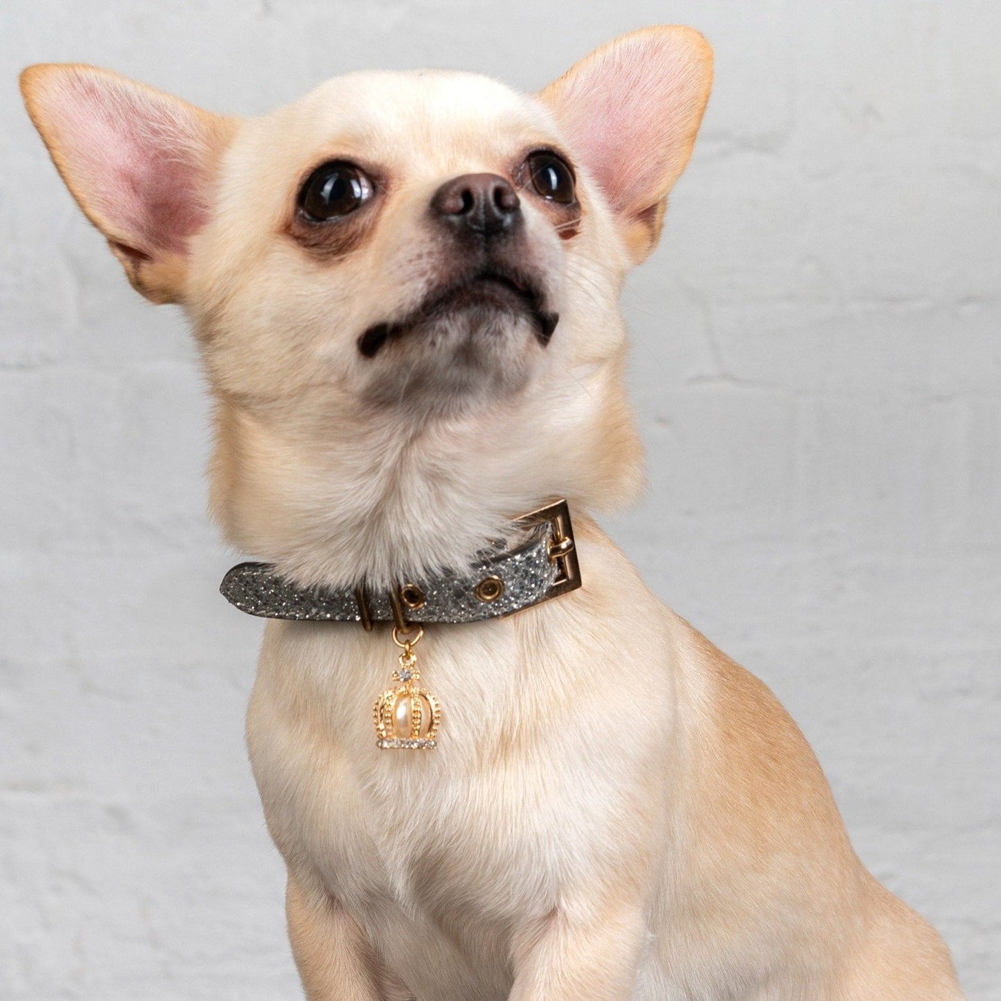 Glitter Collar with Crown (Silver)