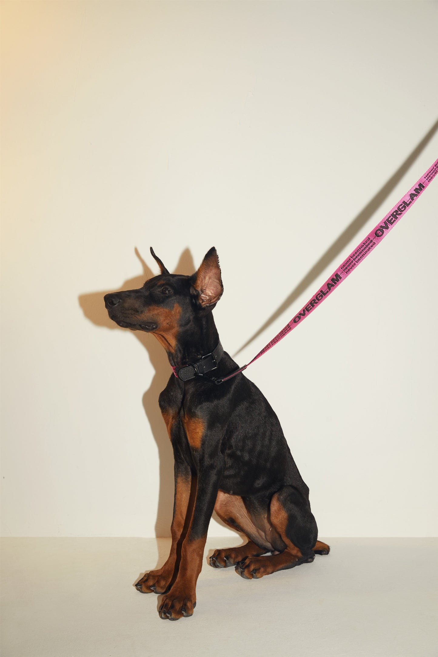 Overglam Ribbon Collar with Leather