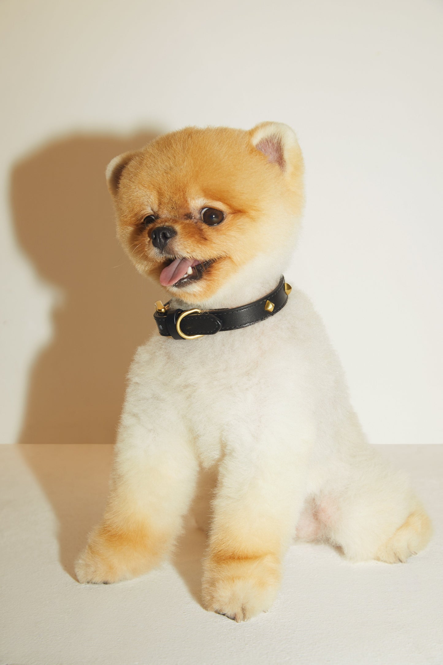 Golden Rivet Leather Collar (Black)