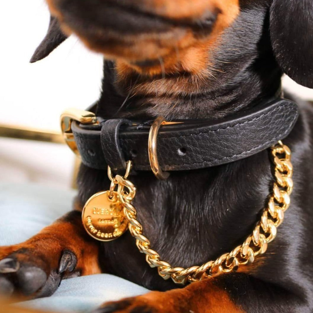 Leather Collar with Chain (Black)