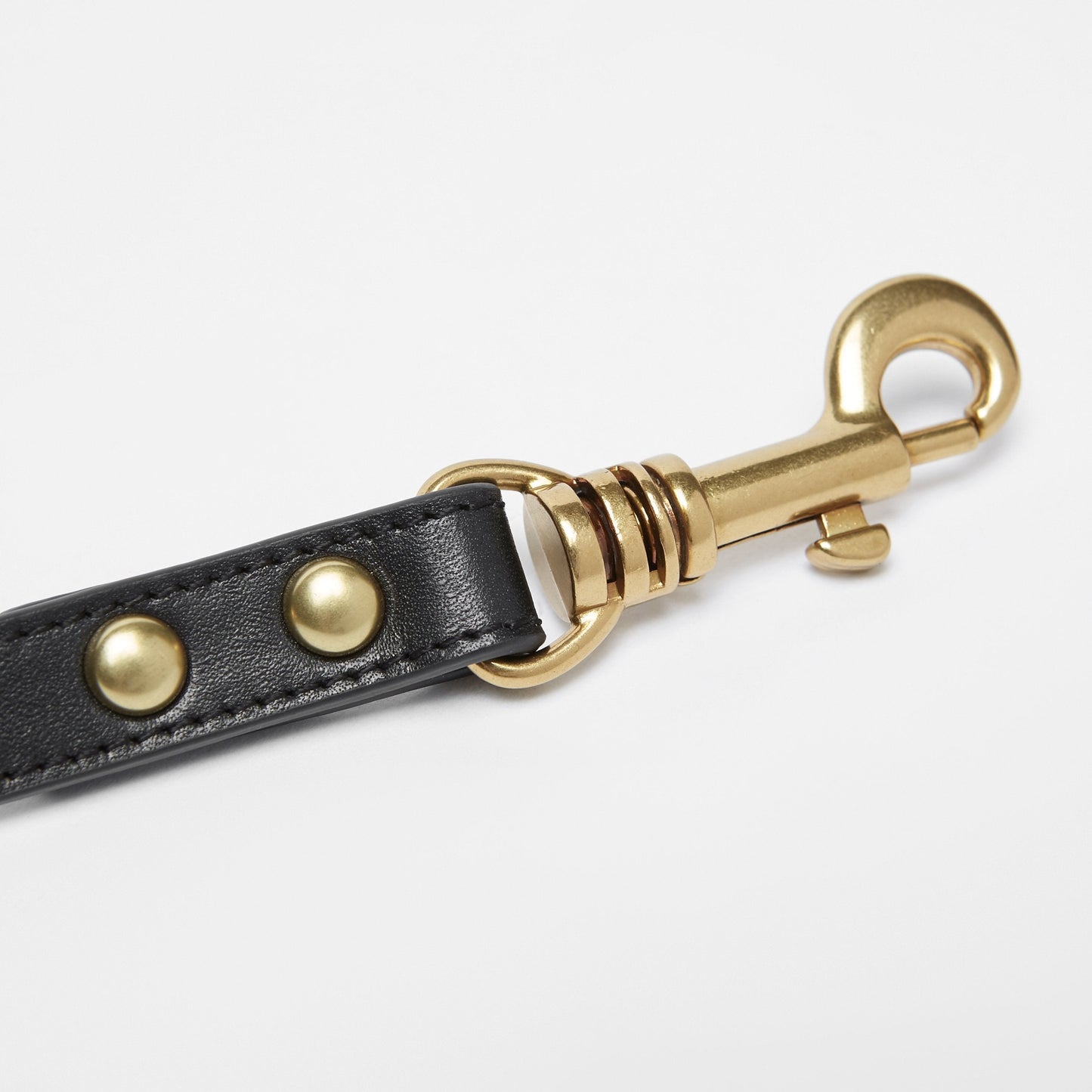 Golden Rivet Leather Lead (Black)