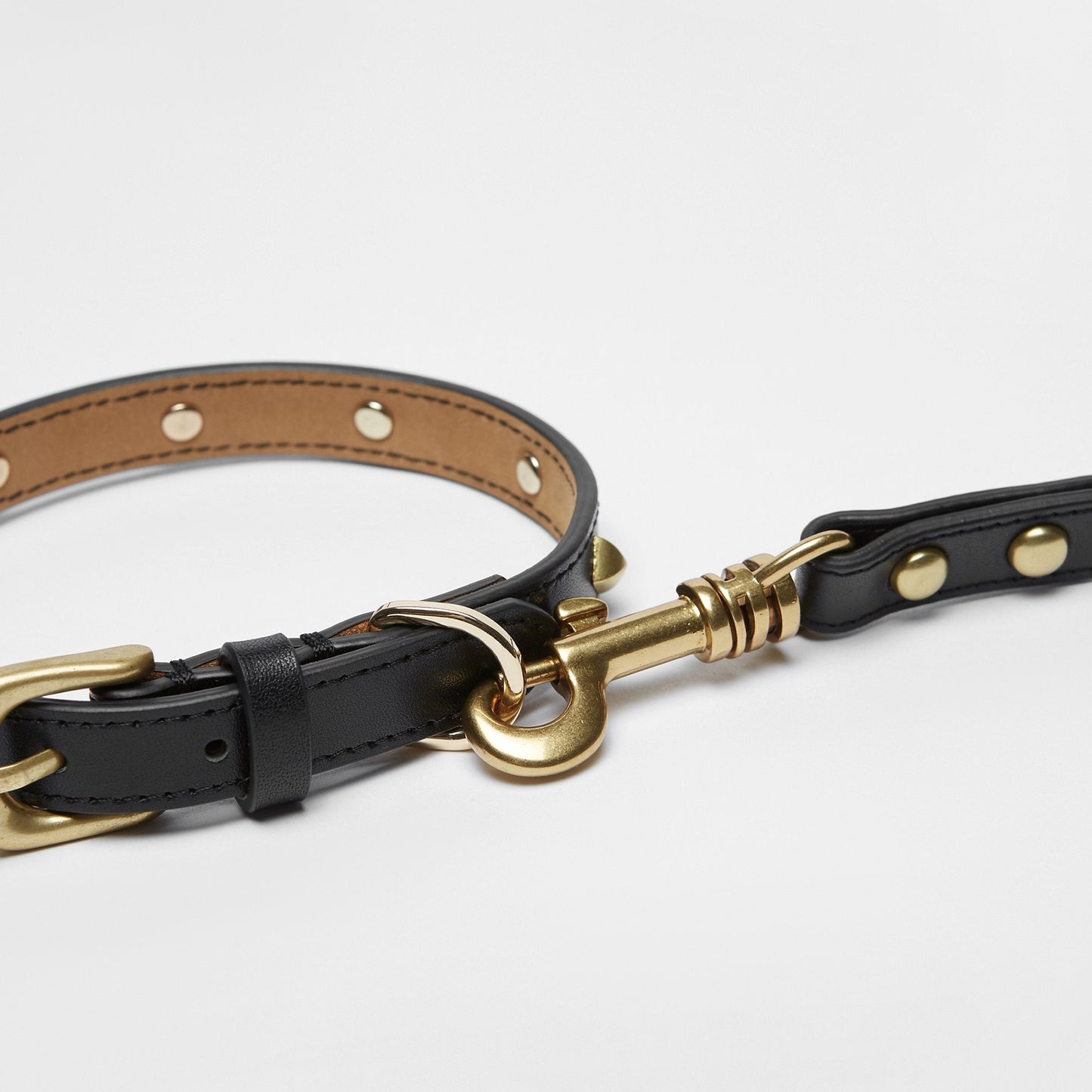 Golden Rivet Leather Lead (Black)