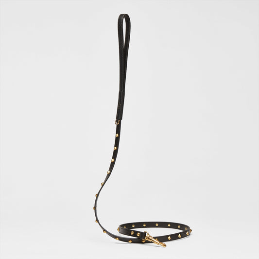 Golden Rivet Leather Lead (Black)