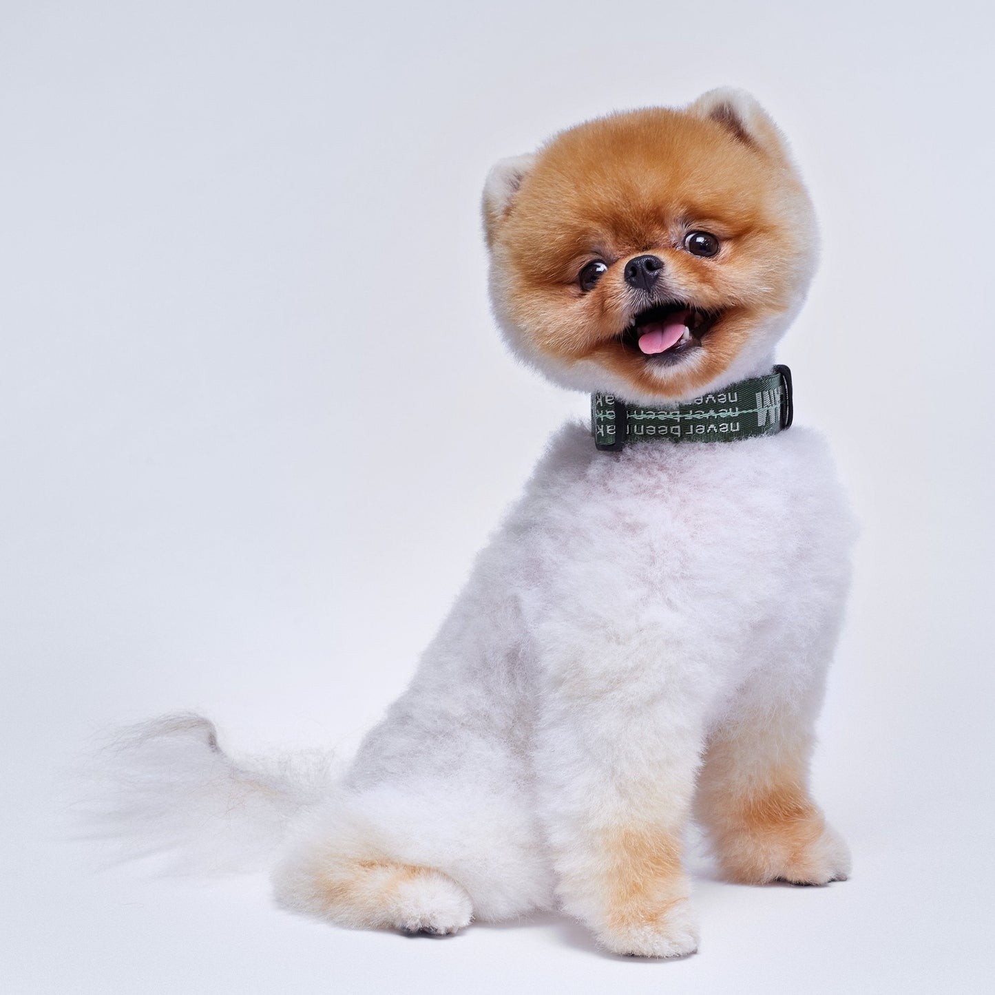 Overglam Ribbon Collar with Leather